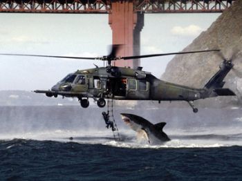 hiu menyerang helikopter